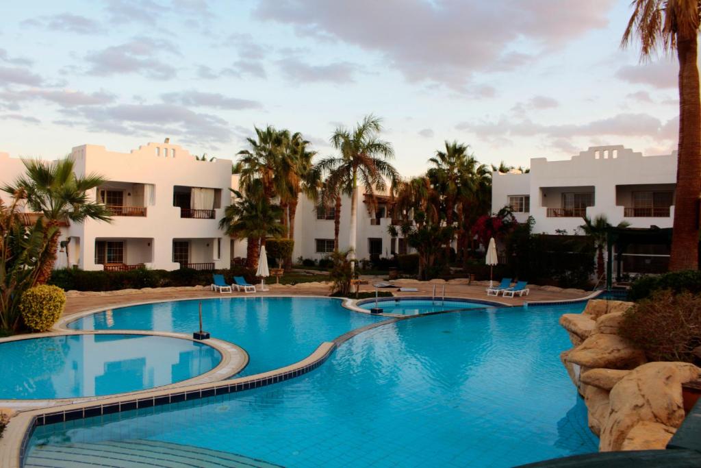 une grande piscine avec des palmiers et des bâtiments dans l'établissement Delta Sharm, between Old Market& Naama Bay, center, à Charm el-Cheikh