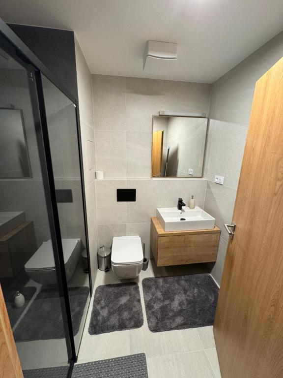 Koupelna v ubytování Luxusní Apartmán Domovjanka - SKALKA FAMILY