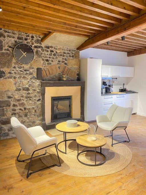 un salon avec deux chaises et une cheminée dans l'établissement Appartement Clermont-Fd jaude 1, à Clermont-Ferrand