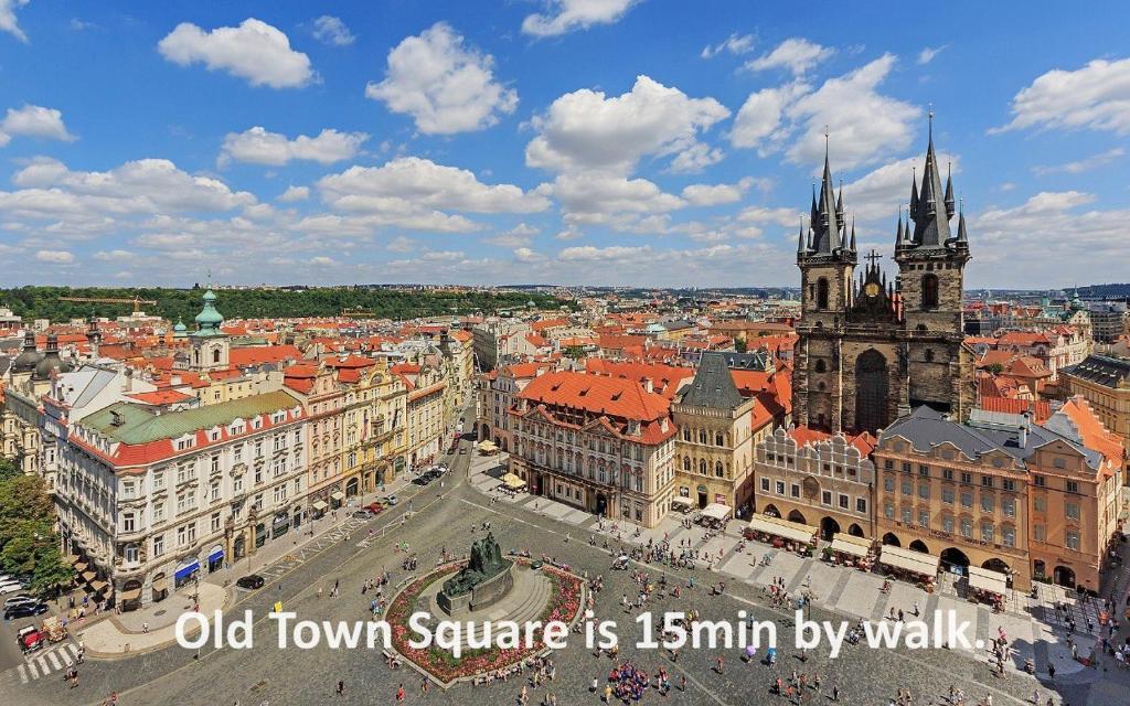 Central Haven Apartments - 12