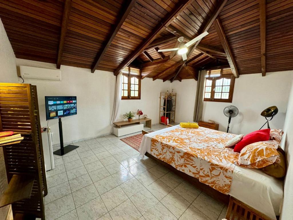 a bedroom with a bed and a flat screen tv at Domaine du Val de l'Orge in Vieux-Habitants