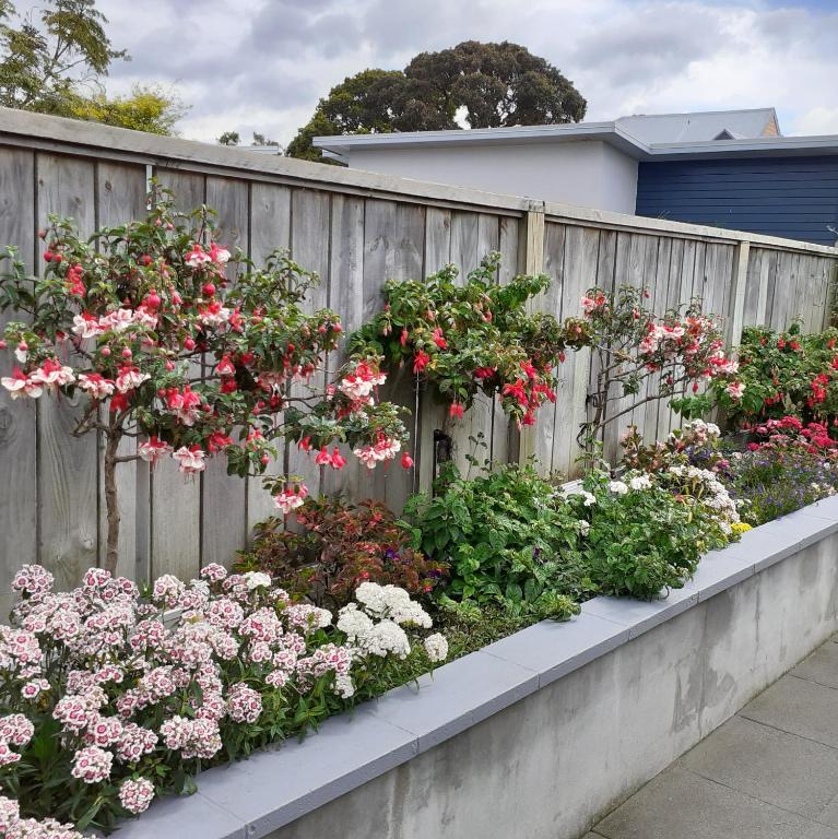 City Haven BnB - Resim 9