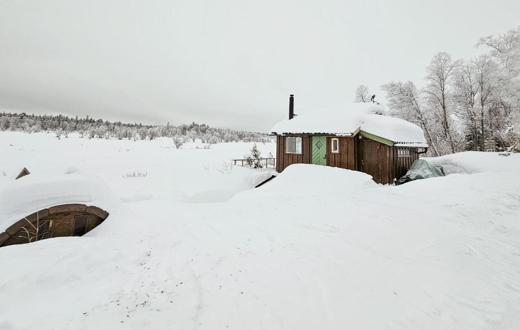 een klein huis bedekt met sneeuw in een veld bij Cozy Home In Gol With Sauna in Golsfjellet