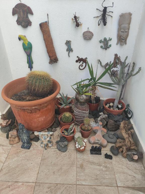 Zdjęcie z galerii obiektu Love for Lanzarote holidays house w mieście Playa Blanca