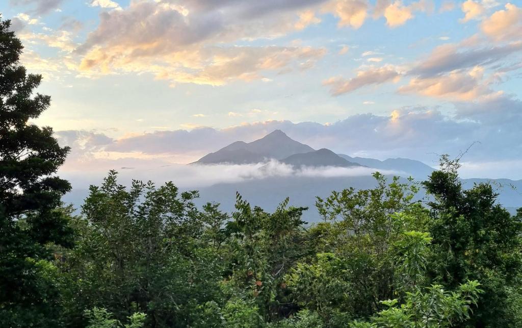 a mountain obscured by clouds with trees in the foreground at Wompoo Eco Retreat in Cow Bay