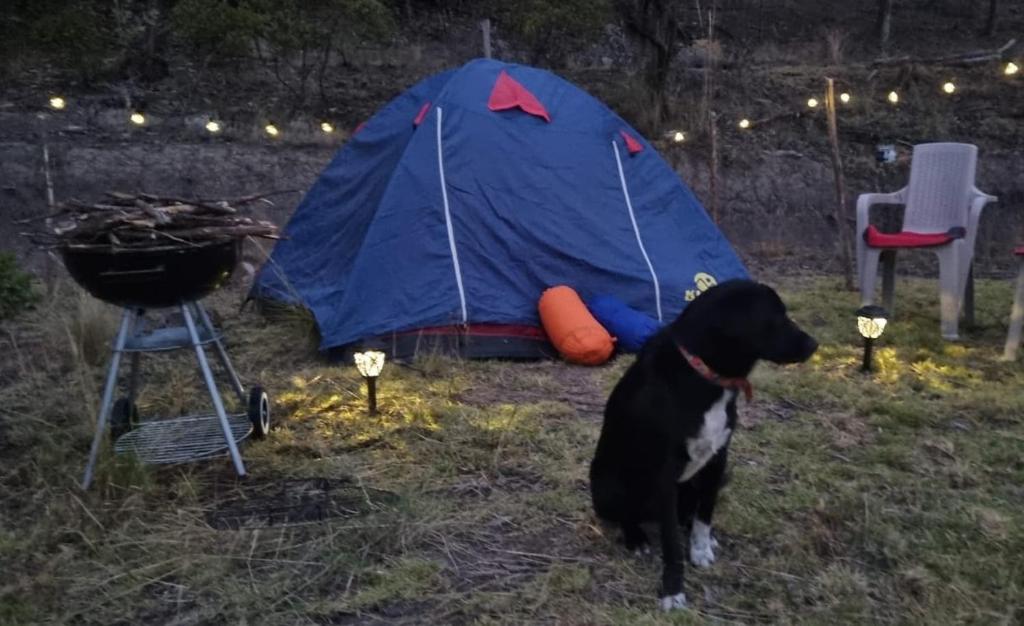 Gallery image of Zonas Camping NaturaLove in Monguí