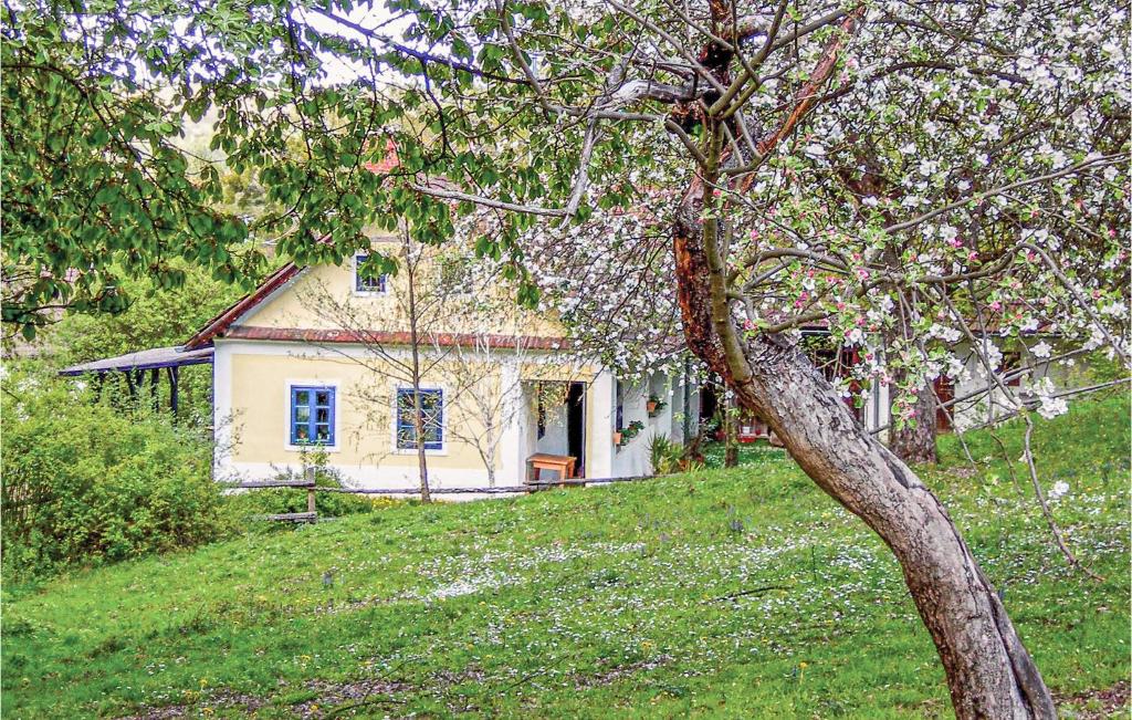 une maison blanche avec un arbre en face dans l'établissement Ferienhaus Gerersdorf-gssing, à Gerersdorf bei Güssing