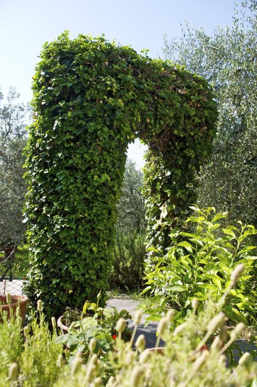 Zahrada ubytování Agriturismo Podere Zollaio