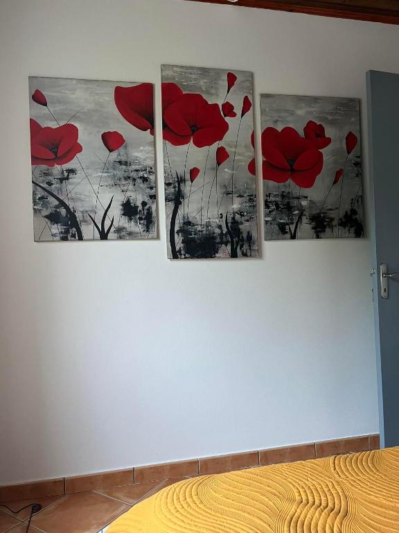 Fotografie z fotogalerie ubytování Anaïs Pool v destinaci Saint-Joseph