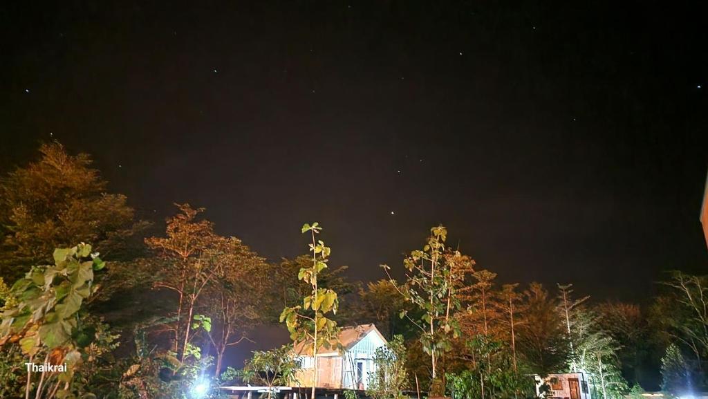 a night time view of a house and trees at Starseed in Trang