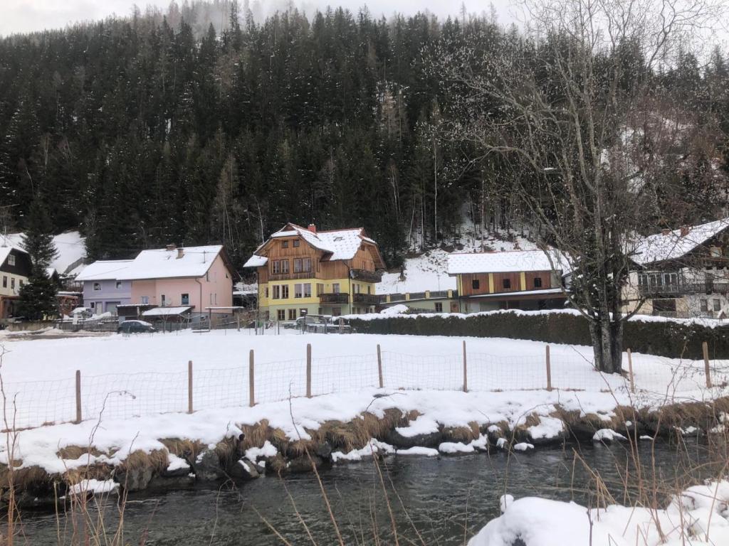 Příroda nedaleko apartmánu