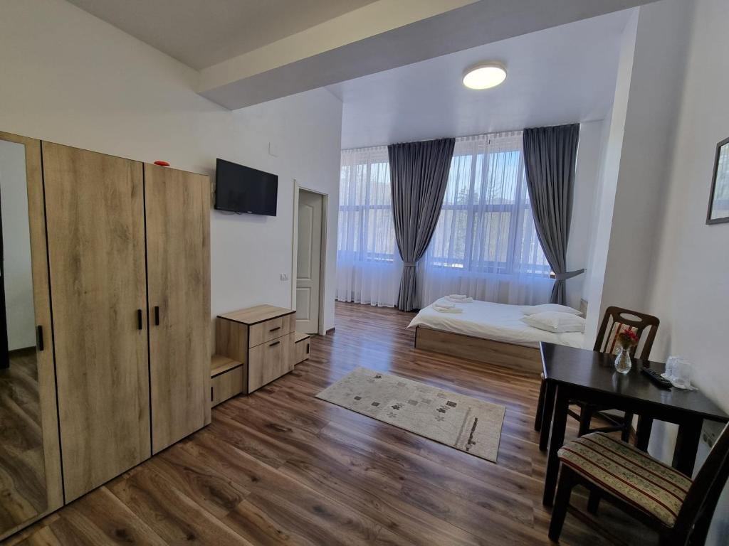 TV a/nebo společenská místnost v ubytování Hotel Perla Oltului
