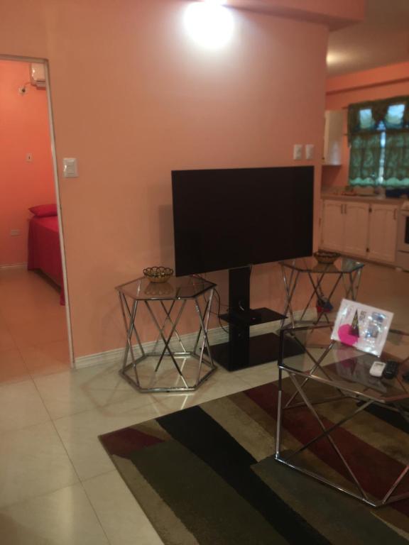 TV a/nebo společenská místnost v ubytování SherNette Nest.
