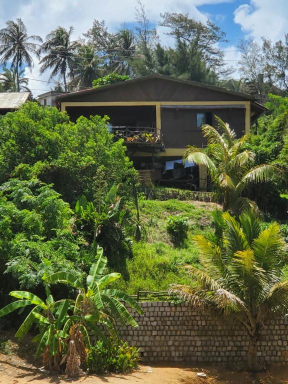 ein Haus auf einem Hügel mit Bäumen in der Unterkunft villa vanille in Tôlagnaro