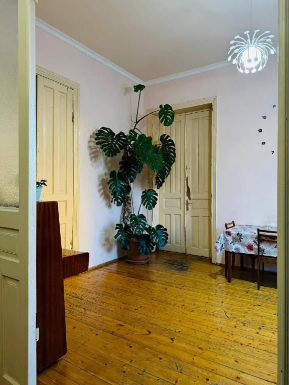 Fotografie z fotogalerie ubytování guest house "BUBU" v destinaci Kutaisi