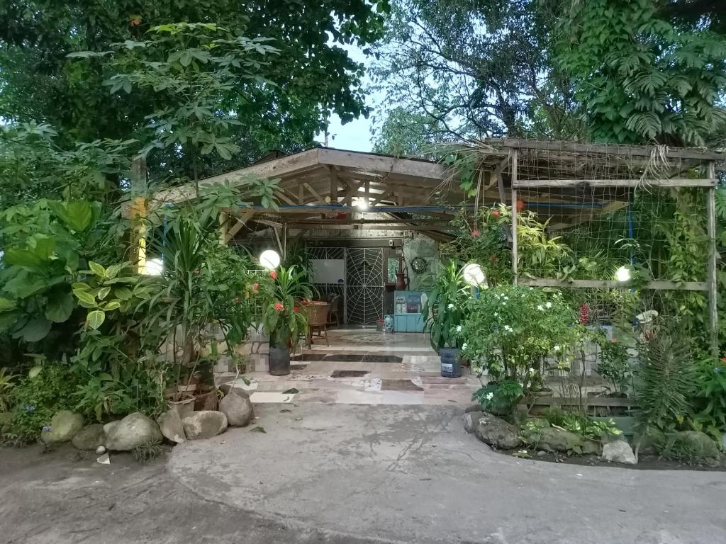 Zahrada ubytování D Sanctum Resort