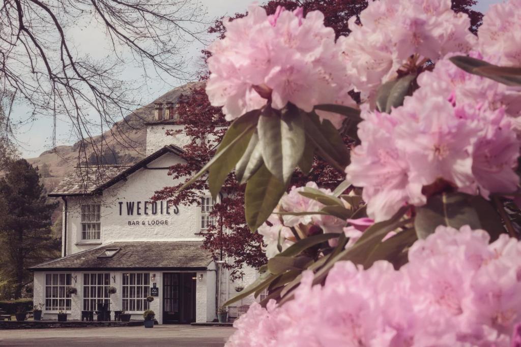 a bunch of pink flowers in front of a building at Tweedies Bar and Lodge in Grasmere