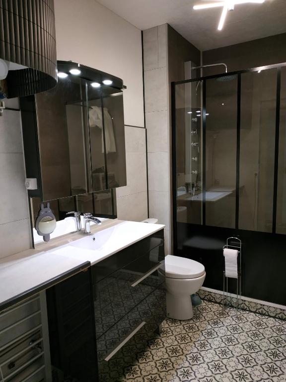 une salle de bain avec toilettes, lavabo et douche dans l'établissement Grand studio idéalement situé, à Chambray-lès-Tours