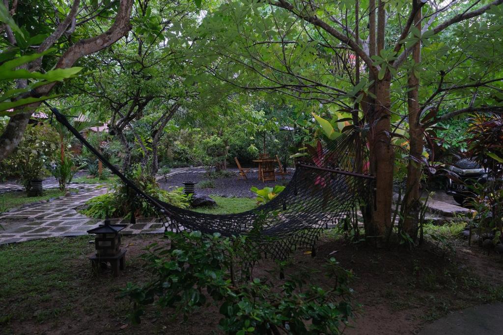 Zahrada ubytování Java Turtle Lodge Meru Betiri