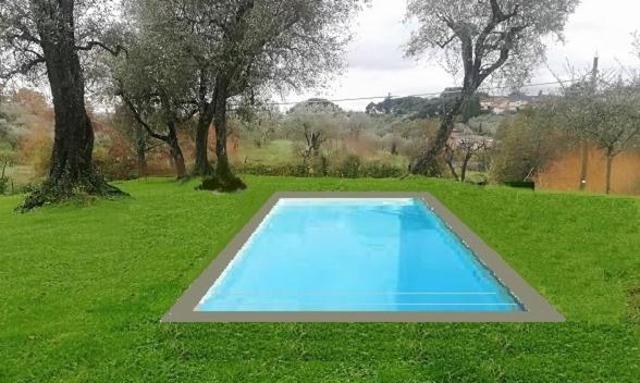 a swimming pool in a field of grass with trees at Le Molina B&B in Massa e Cozzile