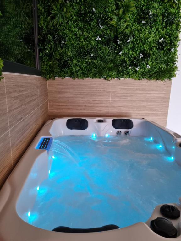 a jacuzzi tub with blue lights in a garden at Le Cocoon in Carpentras