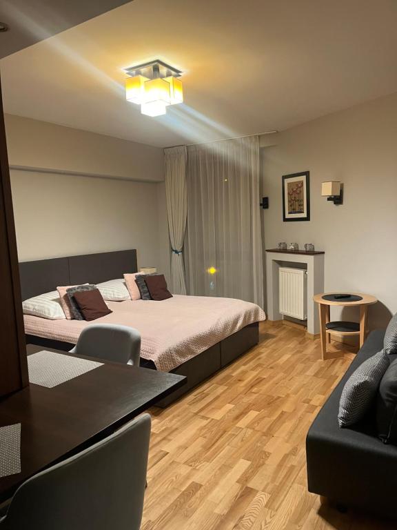 a bedroom with a bed and a table and a couch at Apartament 117 in Krynica Zdrój