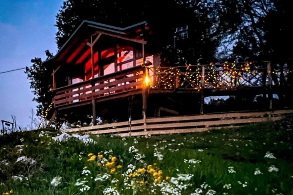 Zahrada ubytování The Treehouse of The Dragon