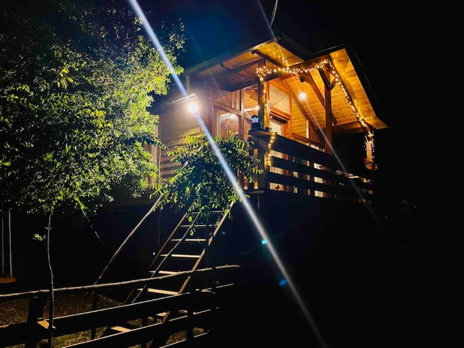 Fotografie z fotogalerie ubytování The Treehouse of The Dragon v destinaci Protópappas