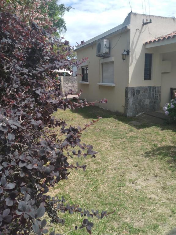 un jardín junto a una casa con un árbol en Piriápolis a 4 cuadras de playa,"Las Hortensias", en Piriápolis