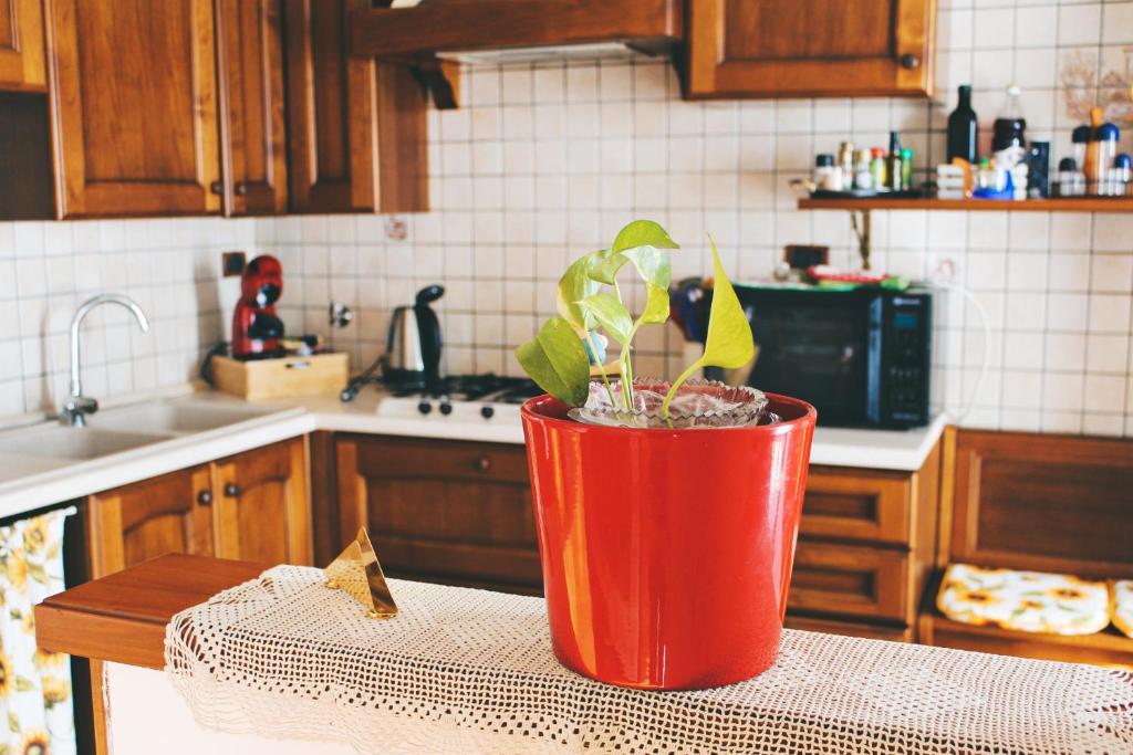 un jarrón rojo sentado en una mesa en una cocina en Casa Mira - Ampio, fully equipped e zona tranquilla, en Trieste