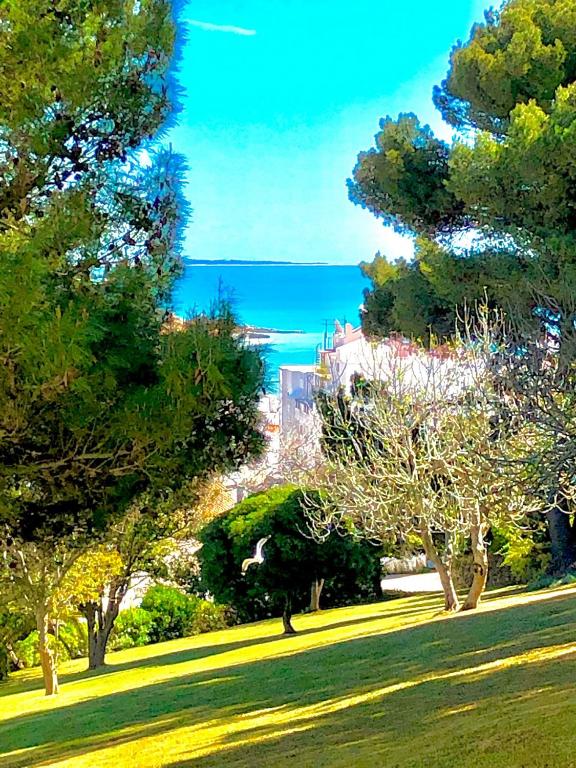 Albufeira Jardim - Apartamentos Turísticos - Resim 32