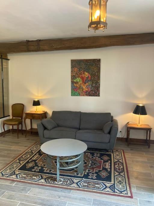 un salon avec un canapé et une table dans l'établissement Charmant studio terrasse 25min Aéroport CDG, à Saint-Brice-sous-Forêt