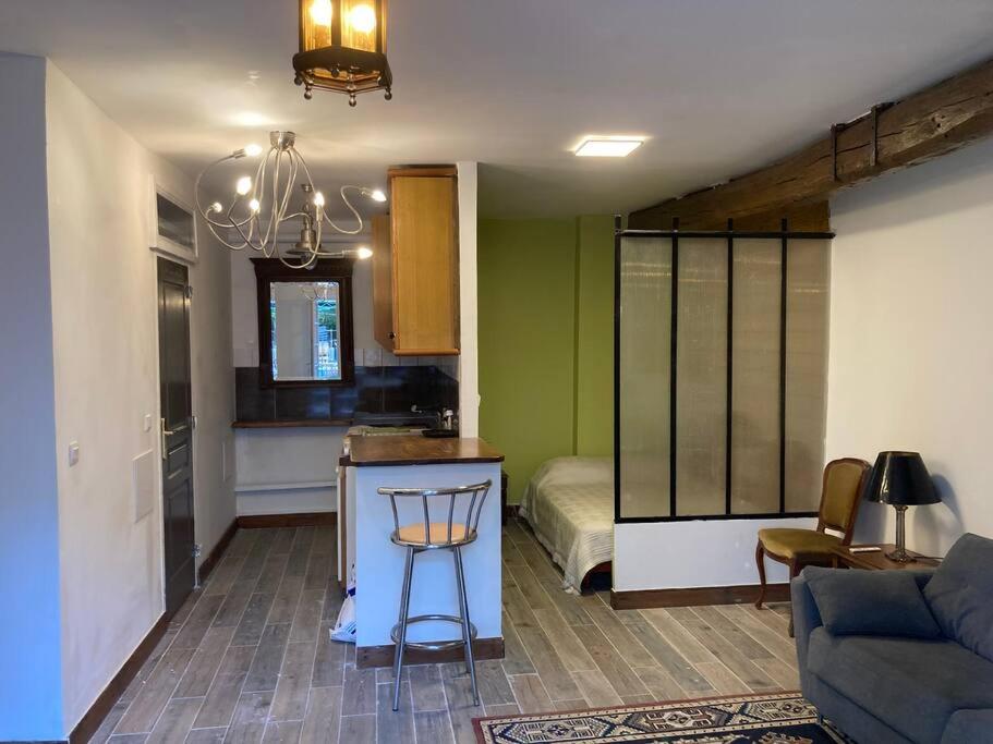 a living room with a kitchen and a room with a couch at Charmant studio terrasse 25min Aéroport CDG in Saint-Brice-sous-Forêt
