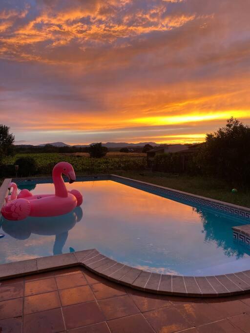 - une piscine avec un canard en caoutchouc rose dans l'eau dans l'établissement grande maison avec vue sur les Cevennes, à Canaules-et-Argentières