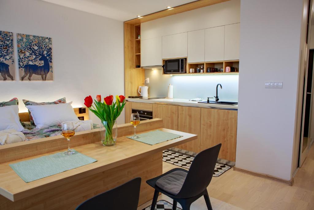 Kuchyň nebo kuchyňský kout v ubytování Studio apartman D7