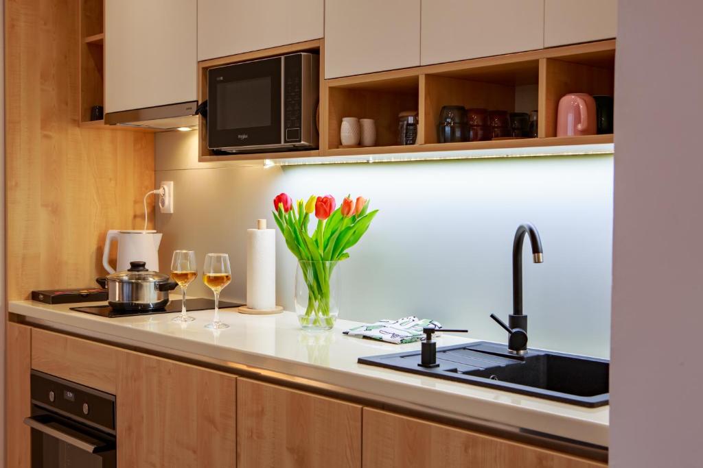 Kuchyň nebo kuchyňský kout v ubytování Studio apartman D7