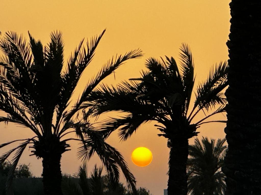 two palm trees in front of a sunset at Domaine sultana in Awlād ‘Umar