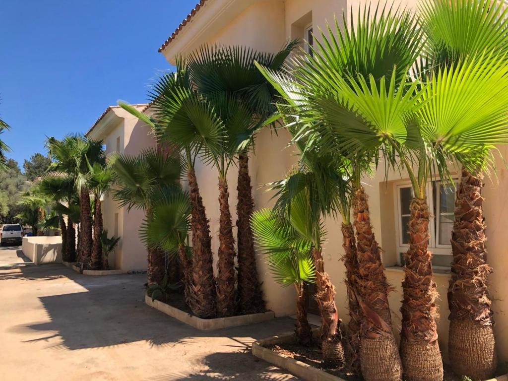 um grupo de palmeiras em frente a uma casa em La Esperanza em Cala Murada