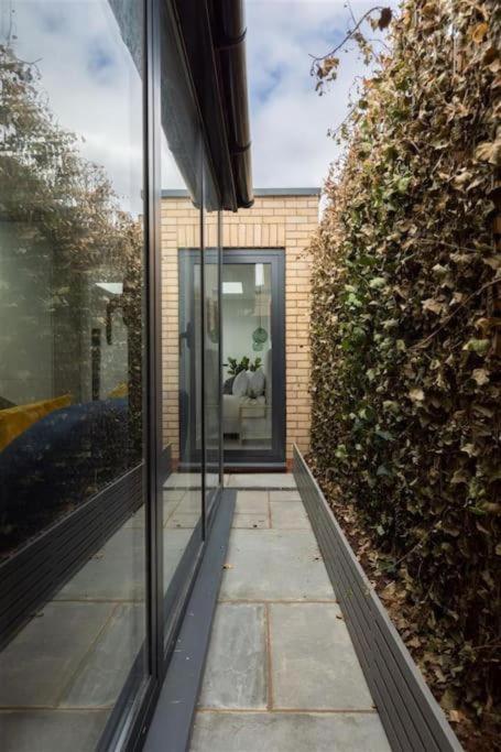 Cozy Leyton House with Garden and Small Terrace - One-Bedroom Apartment