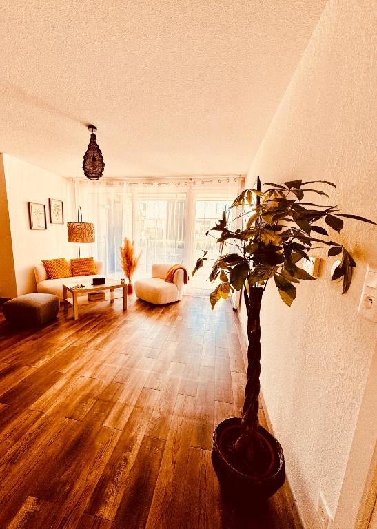 - un salon avec une plante en pot au sol dans l'établissement Appartement 2 chambres cosy proche aéroport et MEETT au pied du tram, à Blagnac