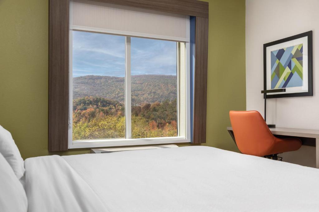 Holiday Inn Express Hotel & Suites Chattanooga-Lookout Mountain by IHG photo