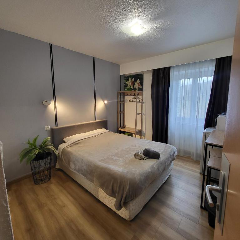une chambre avec un grand lit dans une pièce dans l'établissement GA location, à Mâcon