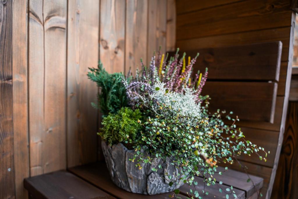 Zahrada ubytování Alpe Chalets Goldener Hirsch