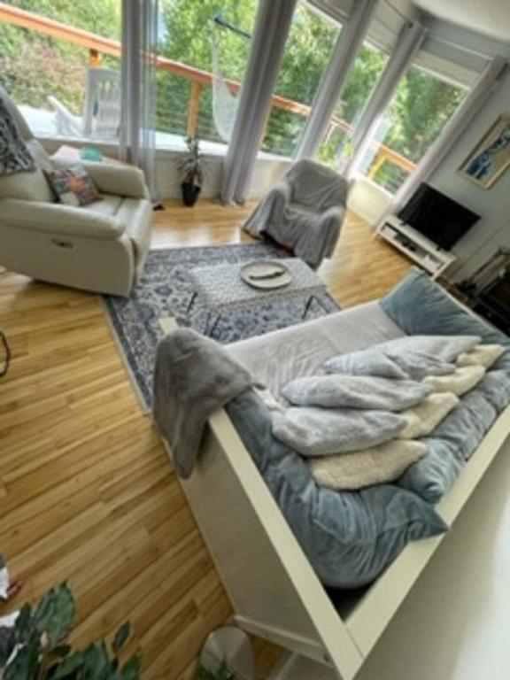 a living room with a large bed and a couch at Sweet Creek Retreat in Nelson
