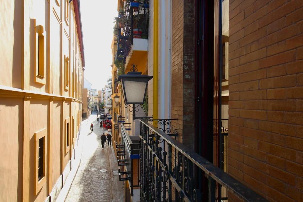 a dog walking down a street between two buildings at Sevilla centro- Sol - Acogedor y luminoso in Seville