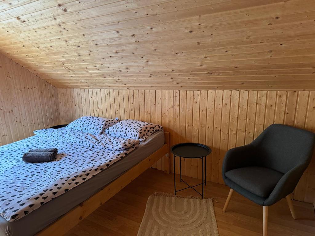 a bedroom with a bed and a chair in a room at Panoramic House in Mărişel