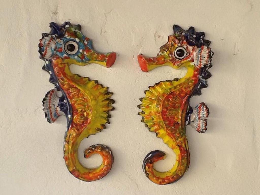  Pousada Cavallitos d'Amar