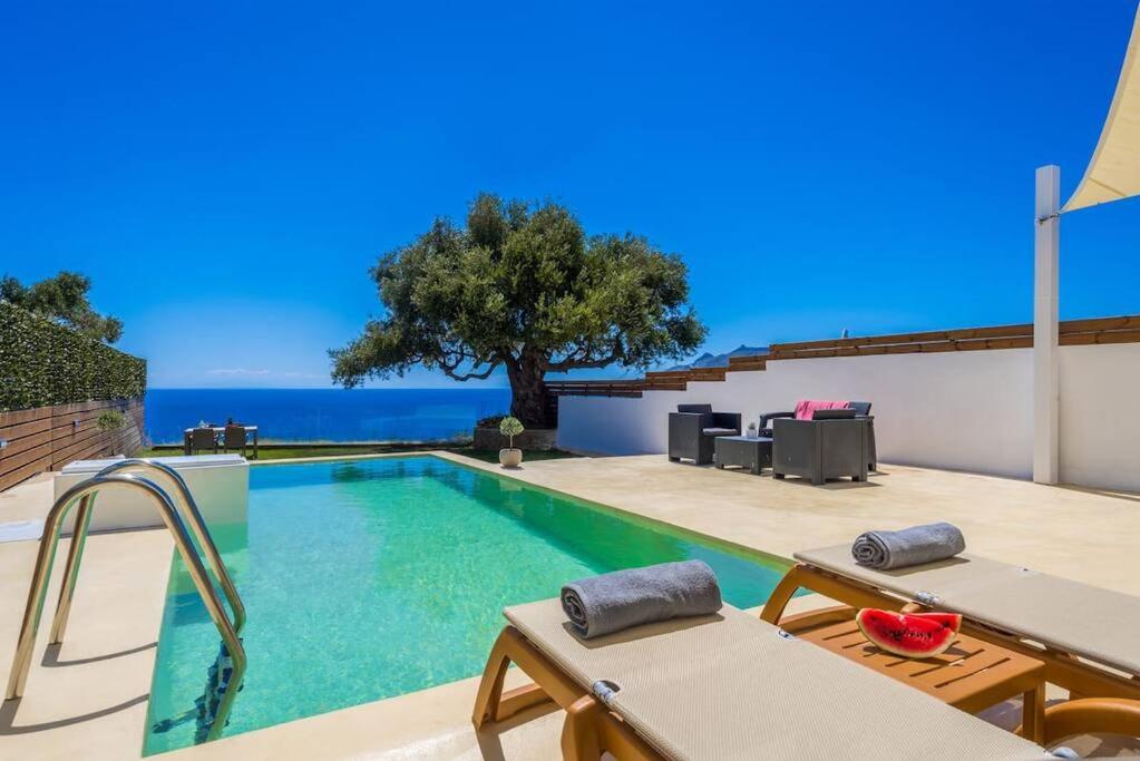 a swimming pool with a view of the ocean at Olive Zen Villa Zante with Private Pool & Sunrise Sea View in Zakynthos