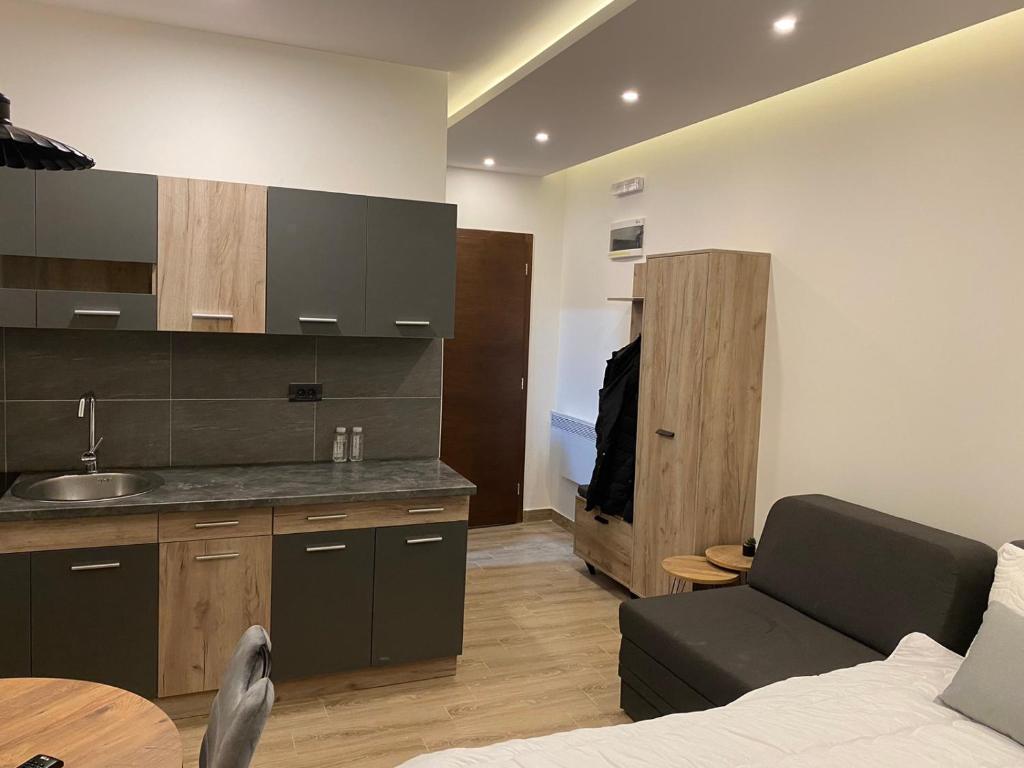 una cucina con lavandino e un divano in una camera di Residence Hill A83 a Kopaonik
