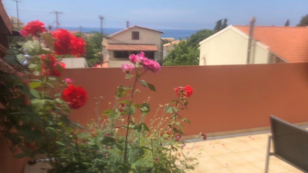 アギオス・ゴルディオスにあるPandora's Corfu Apartmentsの赤い花と柵のバルコニー